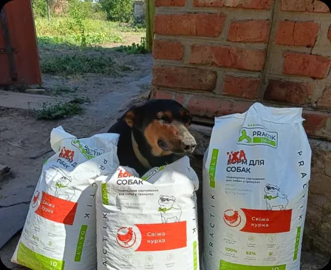 Owner with pets showing foundation logo
