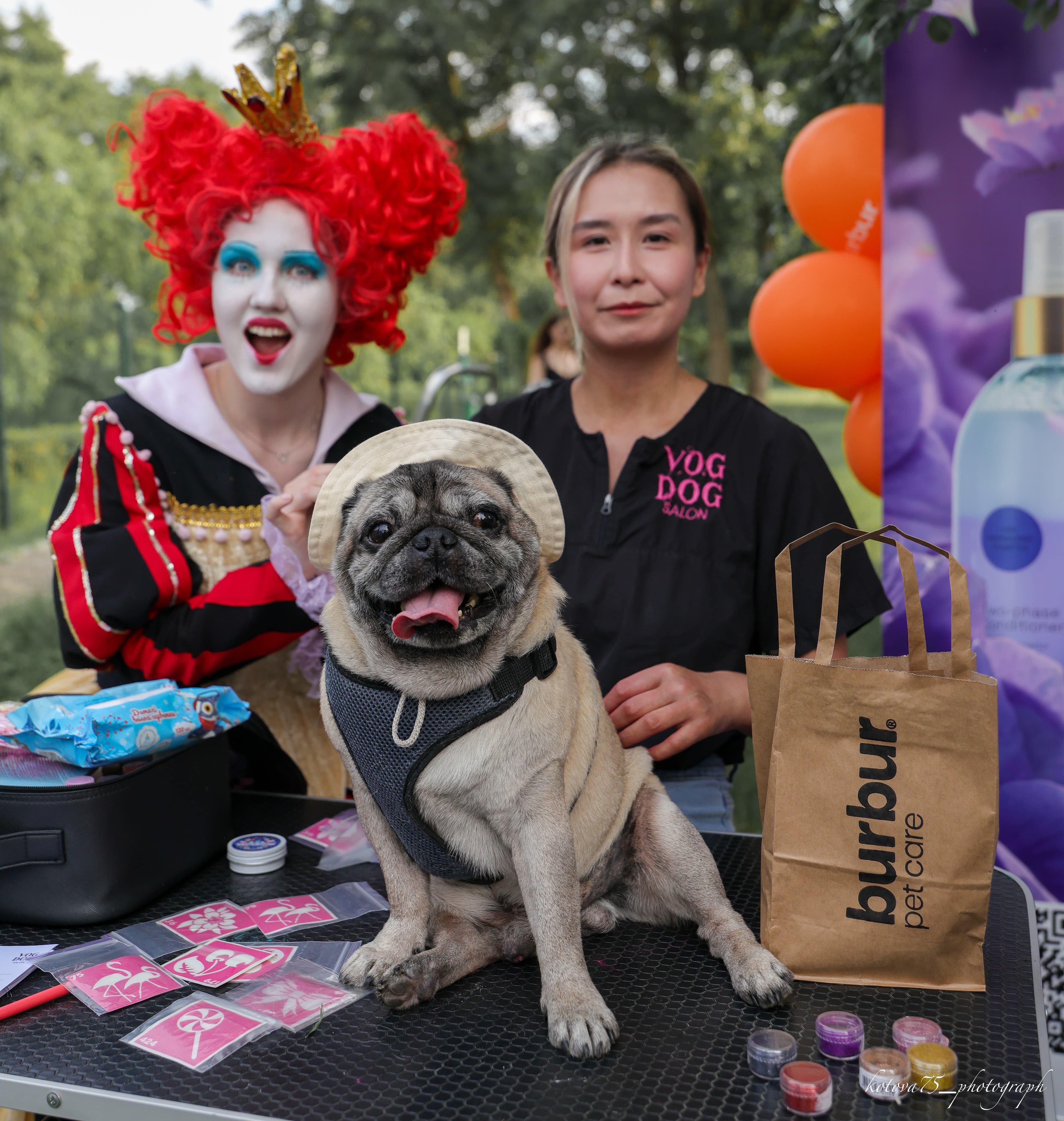 Грумінг від мережі салонів V.O.G DOG