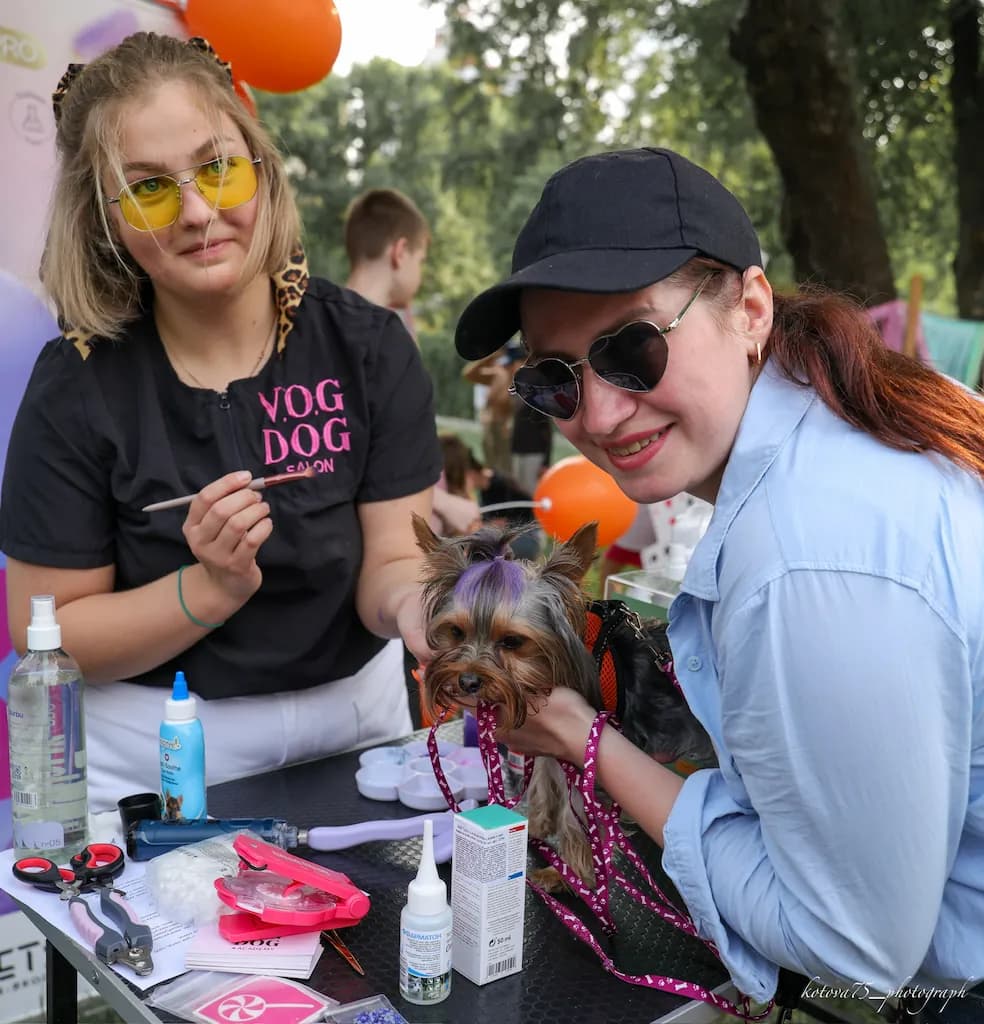 Грумінг від мережі салонів V.O.G DOG