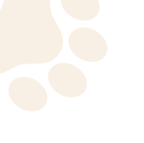Paws