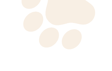 Paws