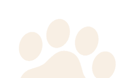 Paws
