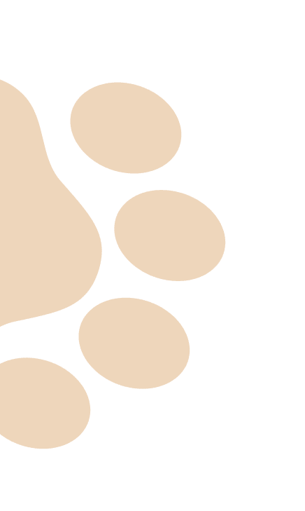Paws