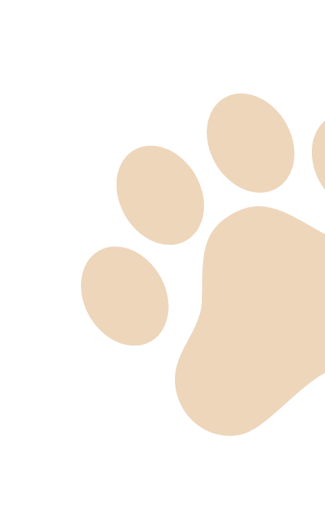 Paws