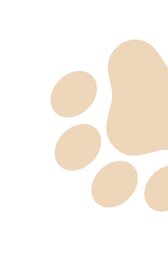 Paws