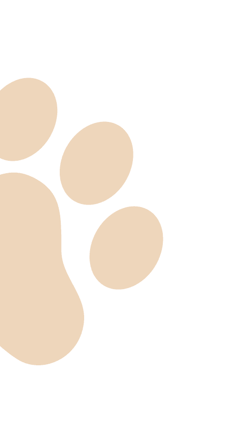 Paws