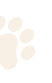 Paw