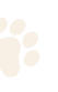 Paw