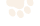 Paw