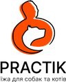 Practik Logo