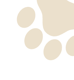 Paws