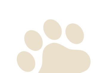 Paws