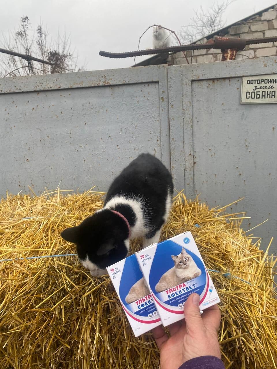 Partner 2