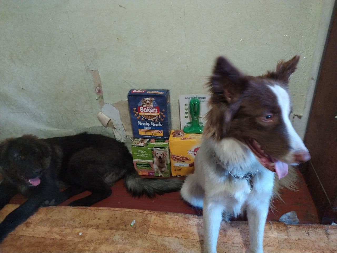Partner 9