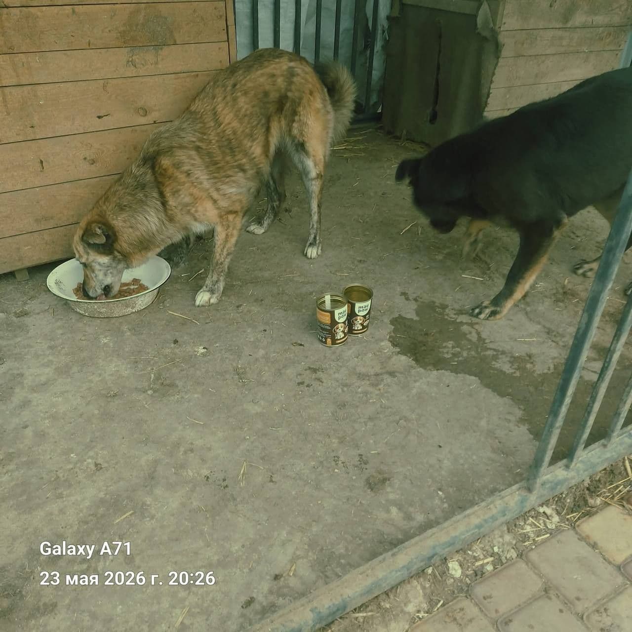 Partner 20
