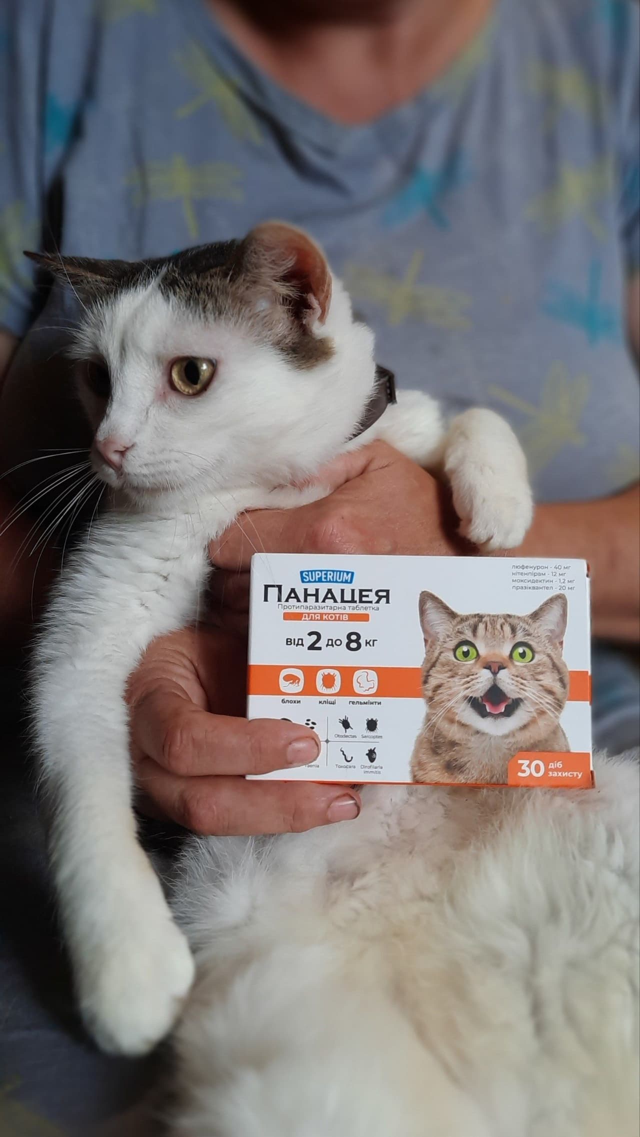 Partner 2