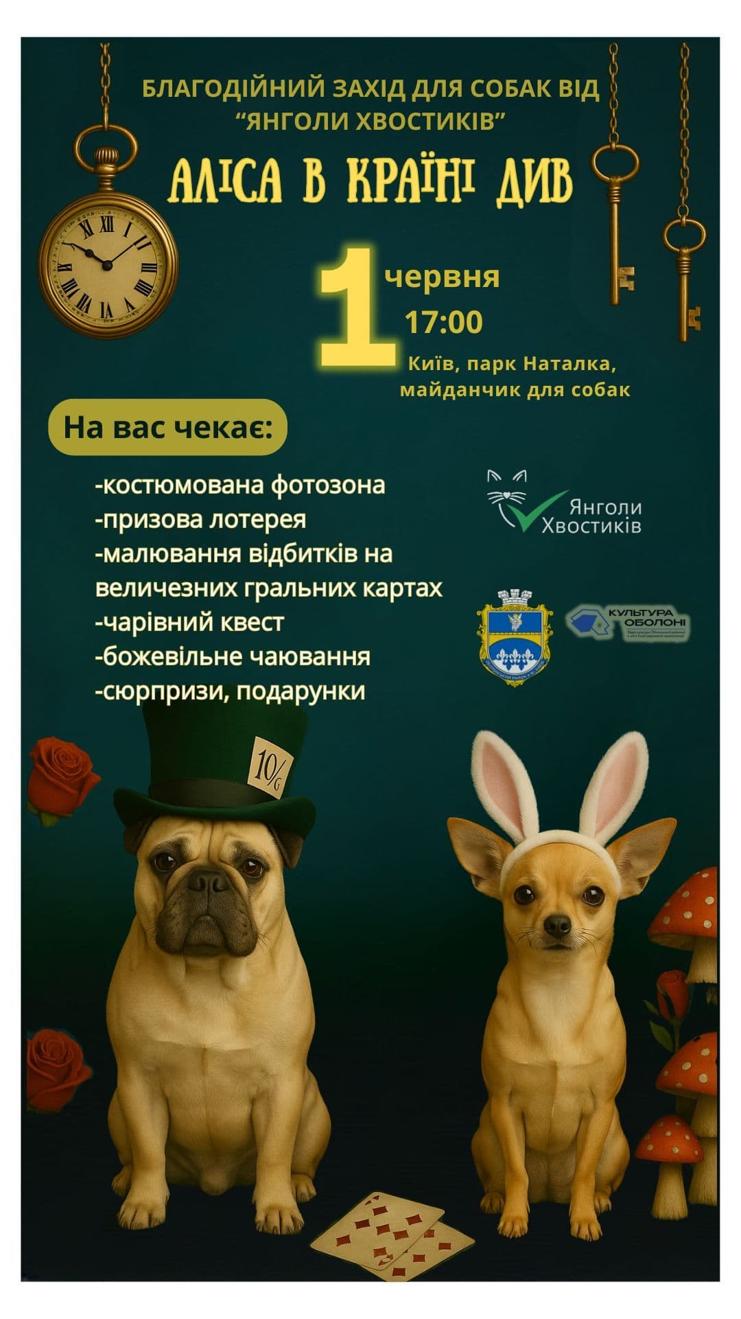 cats dogs