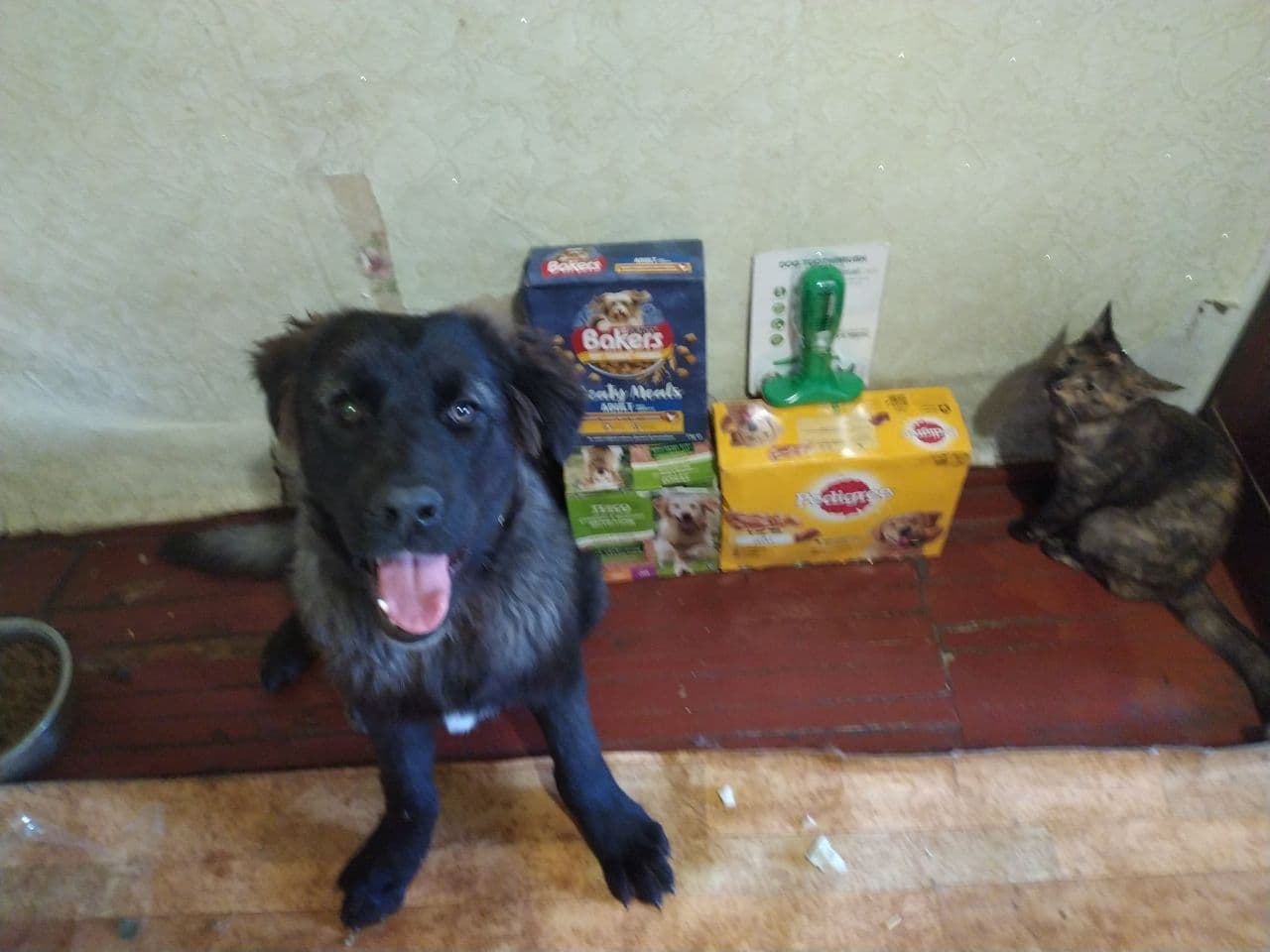 Partner 10