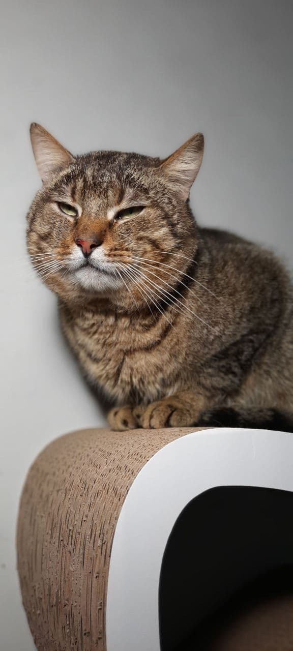 Oskar
