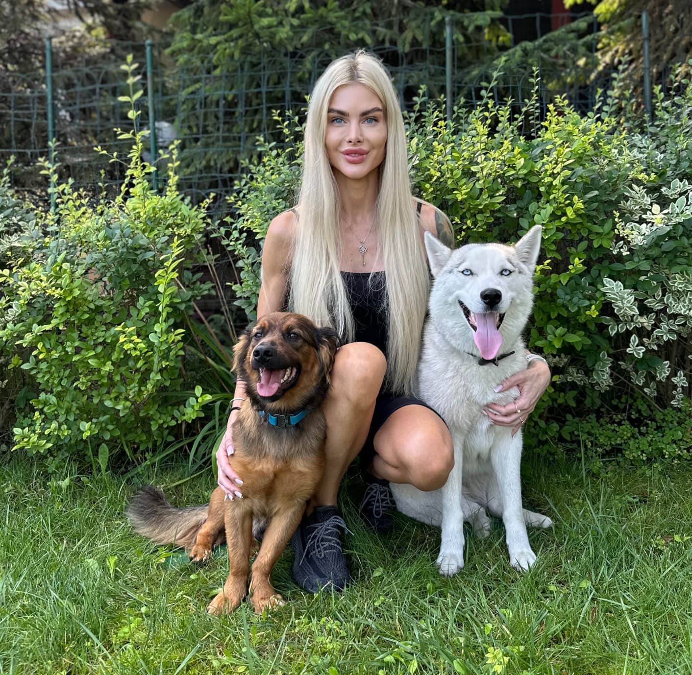 Our Foundation's Help for Homeless Dogs