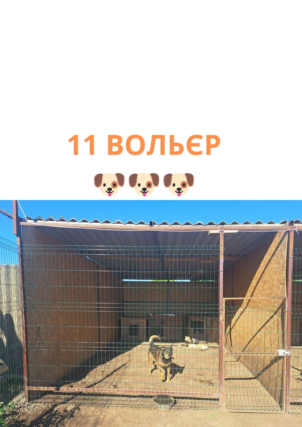 Partner 2
