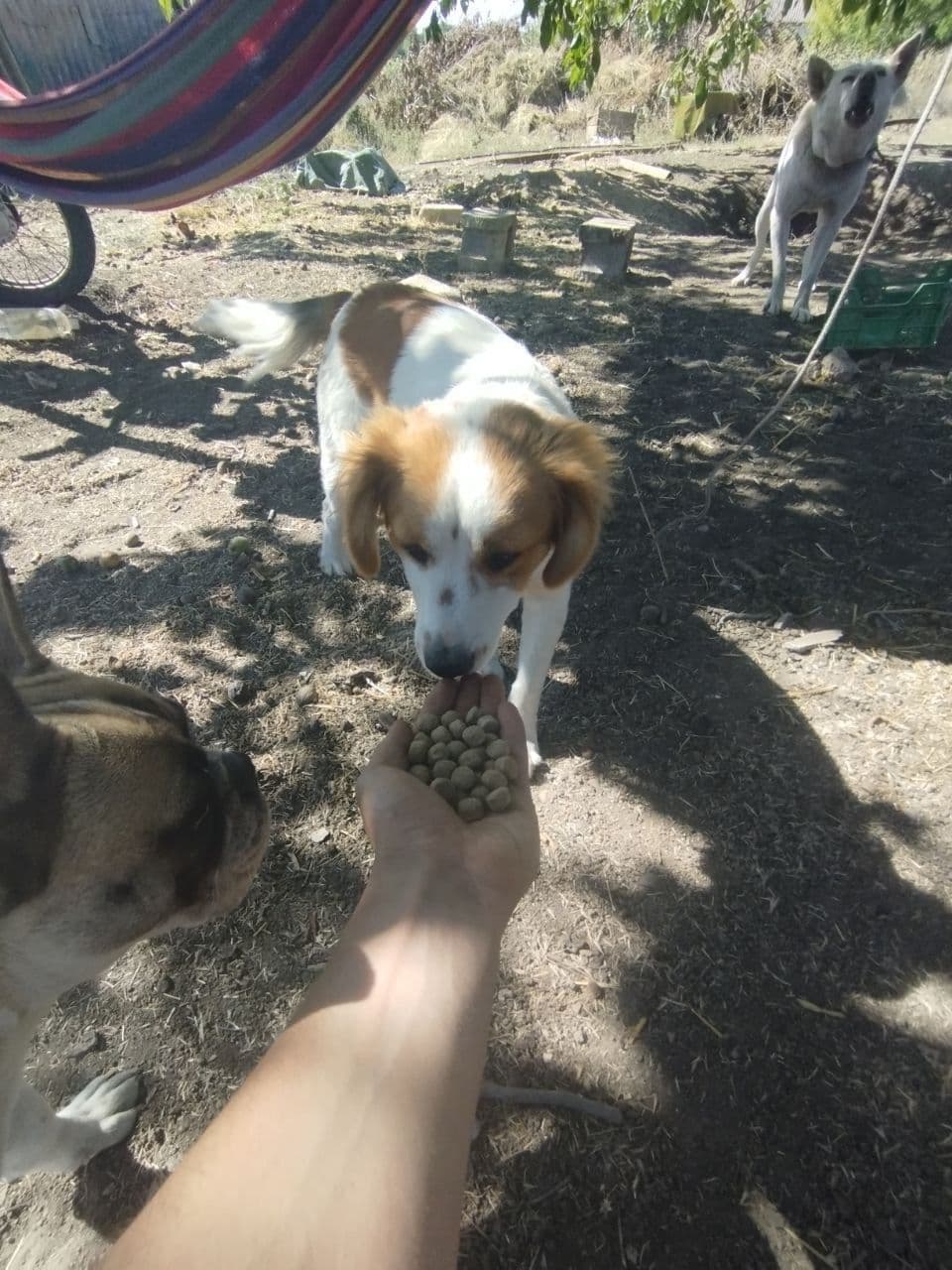 Partner 4