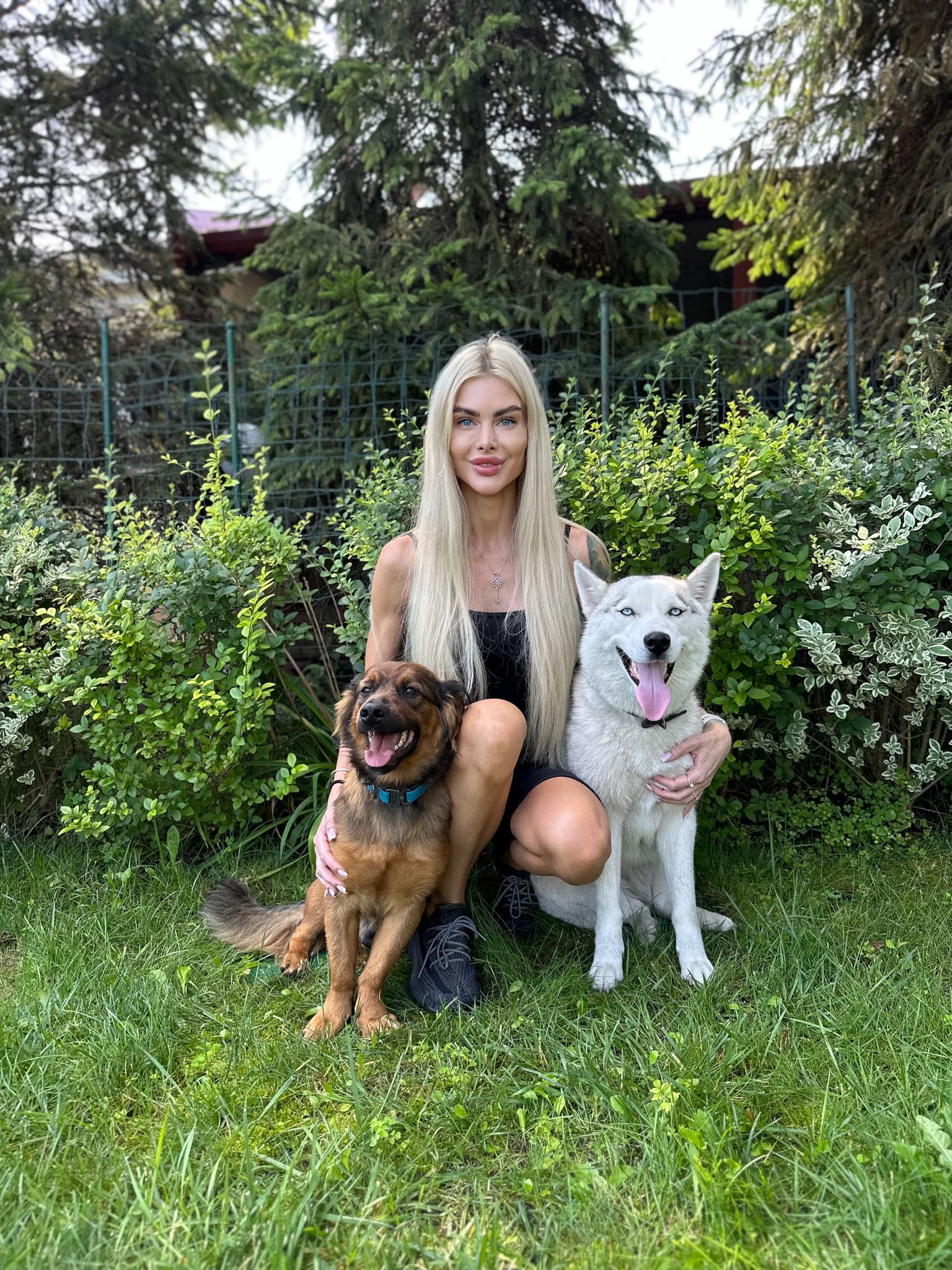 Our help from the foundation for homeless dogs
